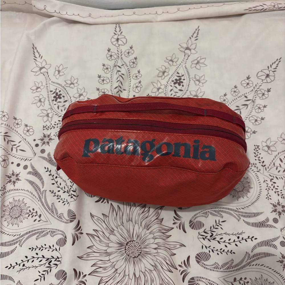 Patagonia Fire Red Packing Cube